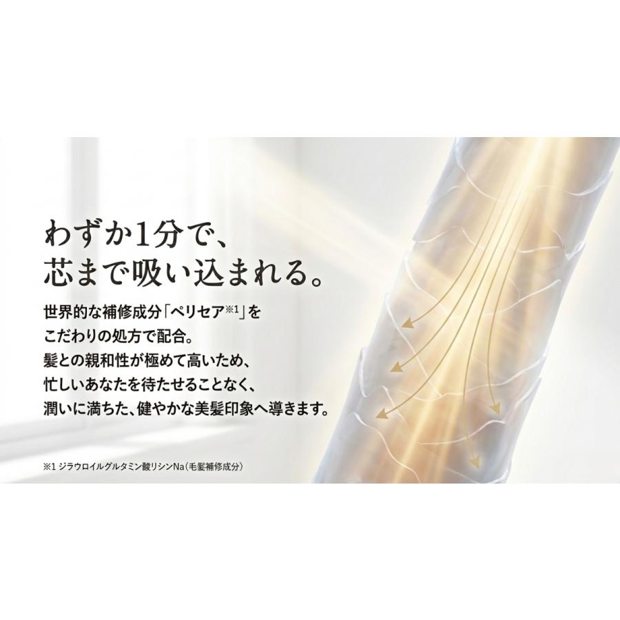 慶子さま専用クリームシャンプー(DBR)2個セット DELAXIOR（デラクシオ） プロ CMC セット 1000mL シャンプー