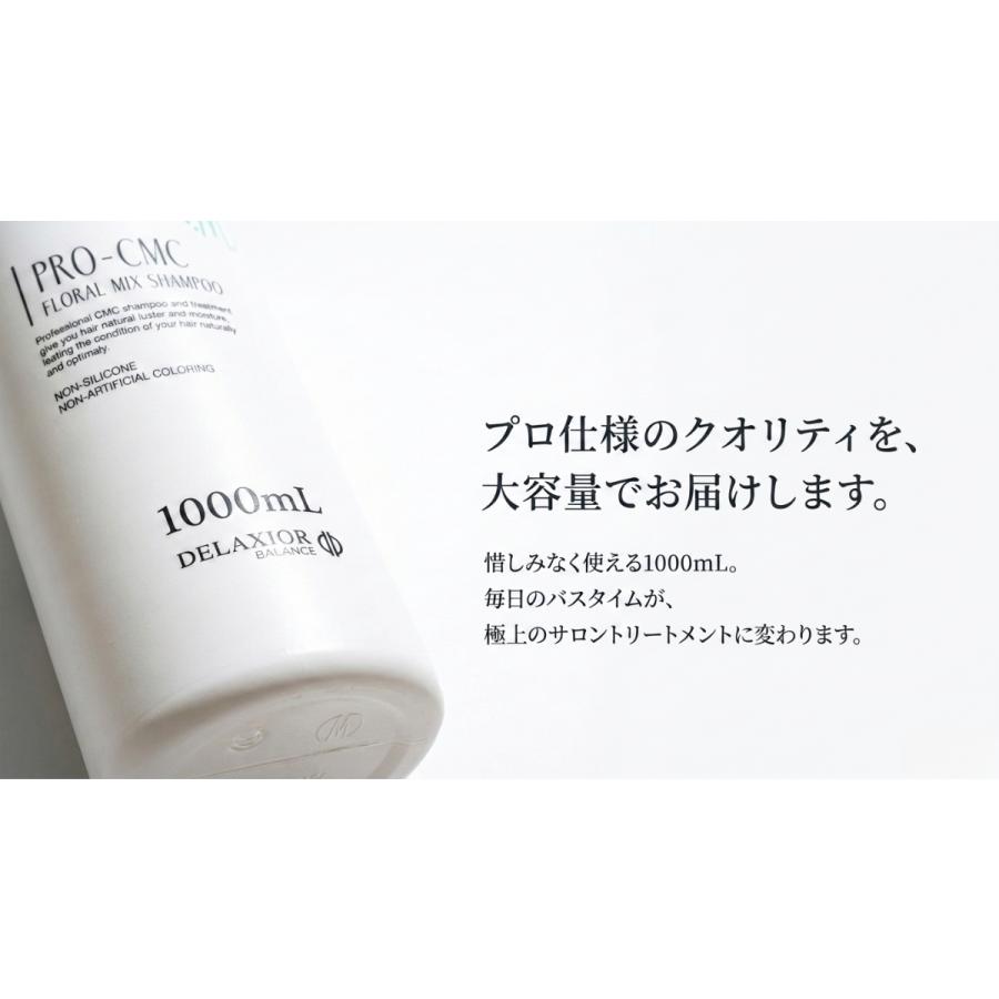 DELAXIOR（デラクシオ） プロ CMC セット 1000mL シャンプー