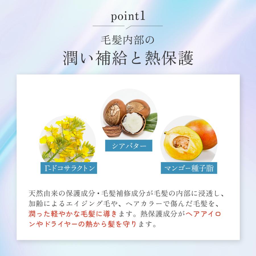 DELAXIOR（デラクシオ） イプル トリートメント 洗い流さない 300g