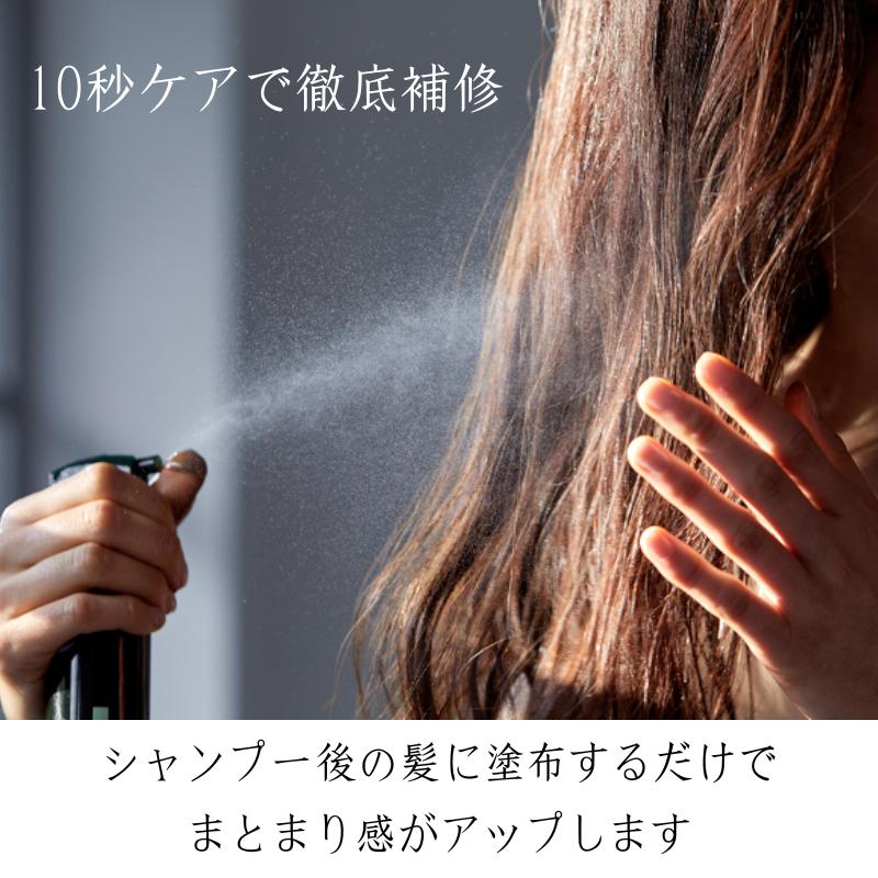 epauler（エポラ） ヘマチン ヘアミスト 高濃度 110mL 詰め替え エポ