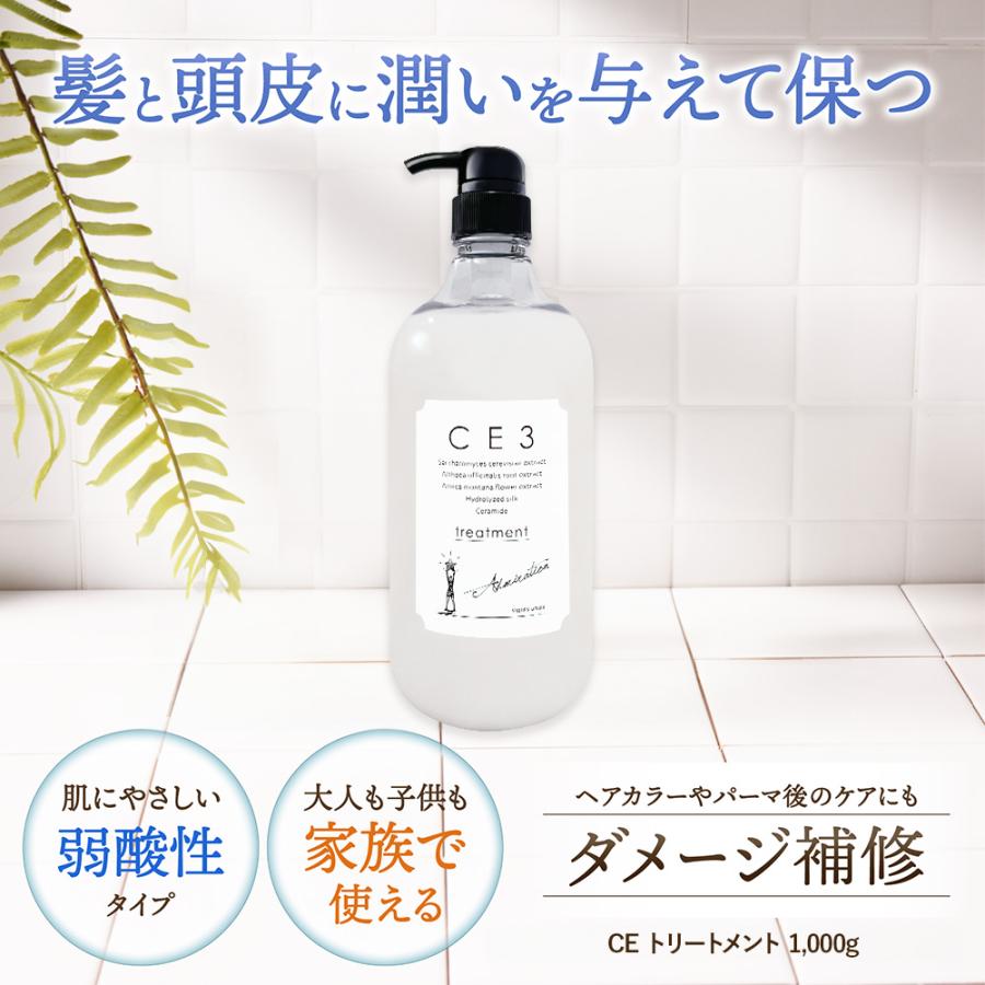 CE3 トリートメント 1,000g 弱酸性 子供 敏感肌 ダメージ補修 サロン