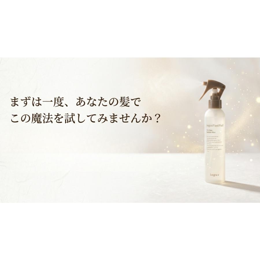 ヘアケア イオグス ヴェールヴェールミスト 500ml ×2