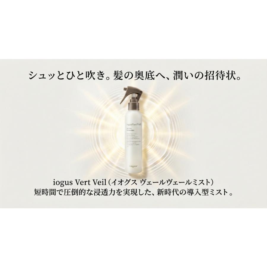 ヘアケア イオグス ヴェールヴェールミスト 500ml ×2