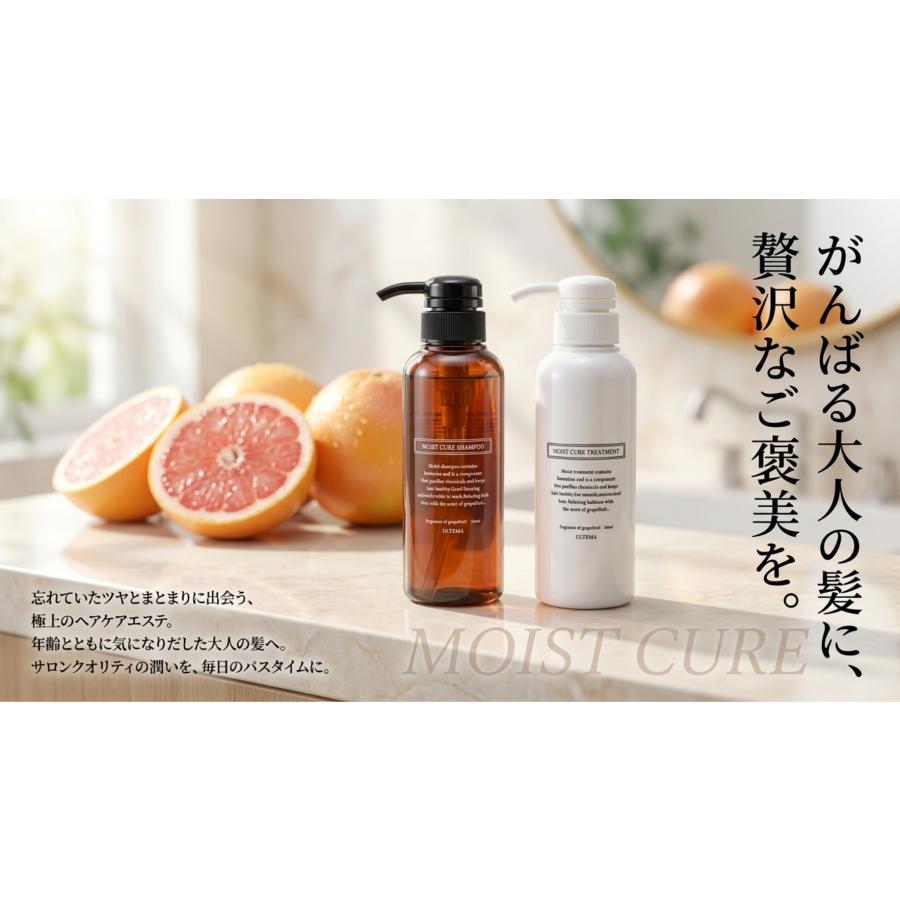 アルテマ モイストキュア シャンプー トリートメント セット 各300ml