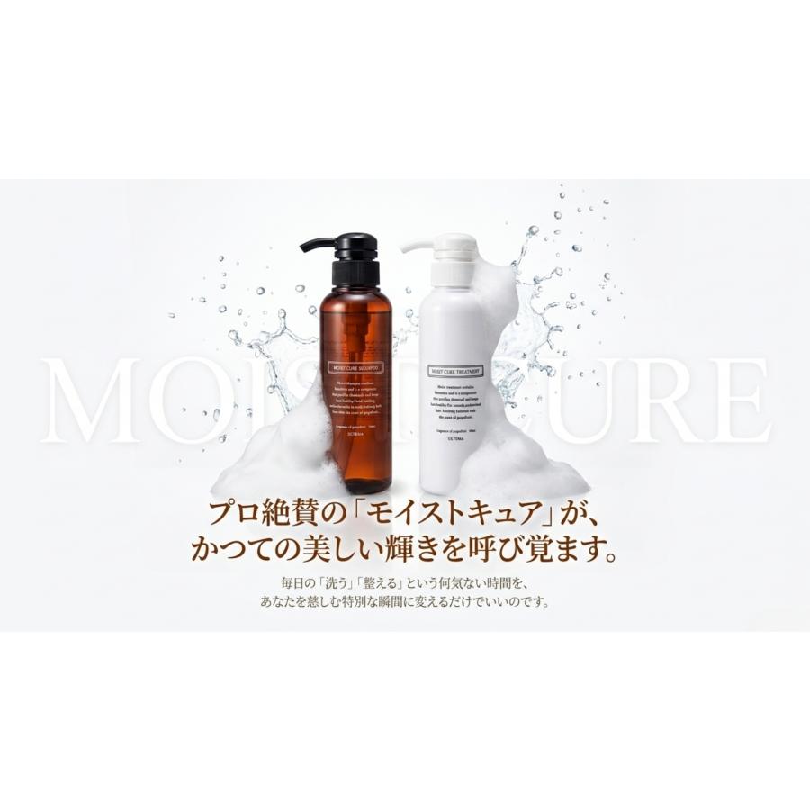アルテマ モイストキュア シャンプー トリートメント セット 各300ml