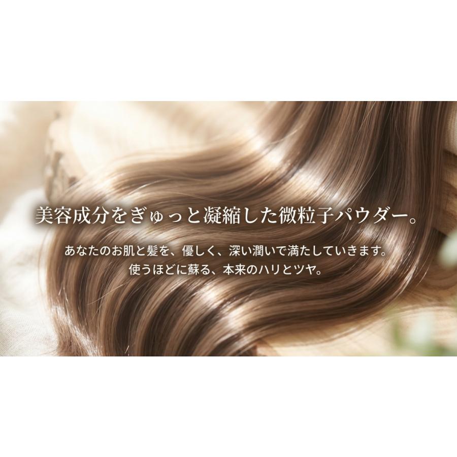 白髪染め ウイング ヘナ 100g オーガニック ヘナカラー ブラウン ヘア