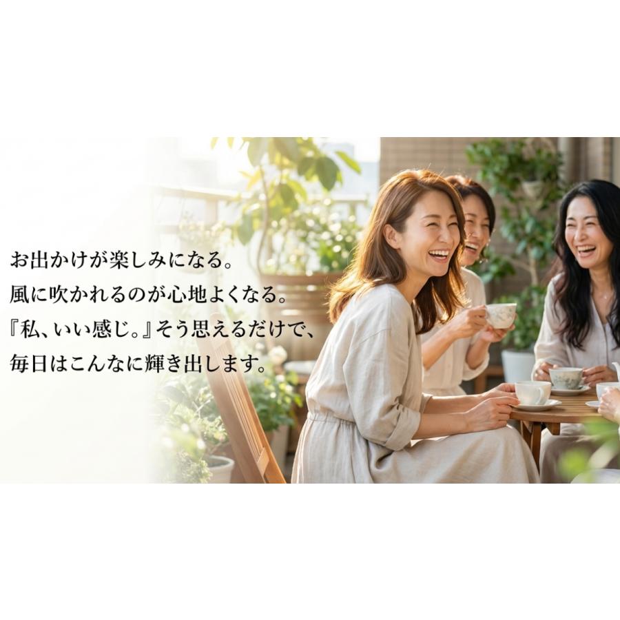 小林 様ご注文品 WING HENNA ヘナカラー 100g 3色5袋セット ウイングベル ウイングヘナカラー ダークブラウン 100g : ヘアケア