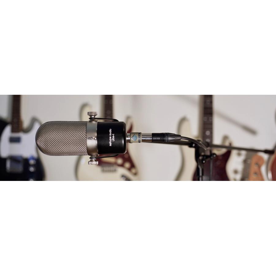 Triton Audio Phantom Blocker (トリトンオーディオ ファントム