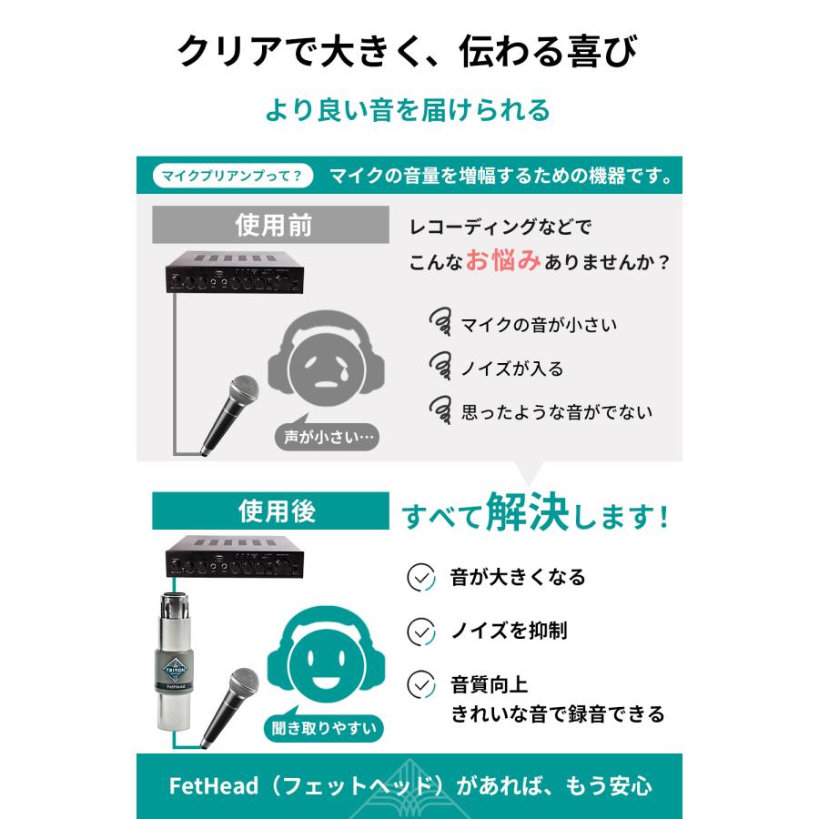 Triton Audio FetHead (トリトンオーディオ フェットヘッド