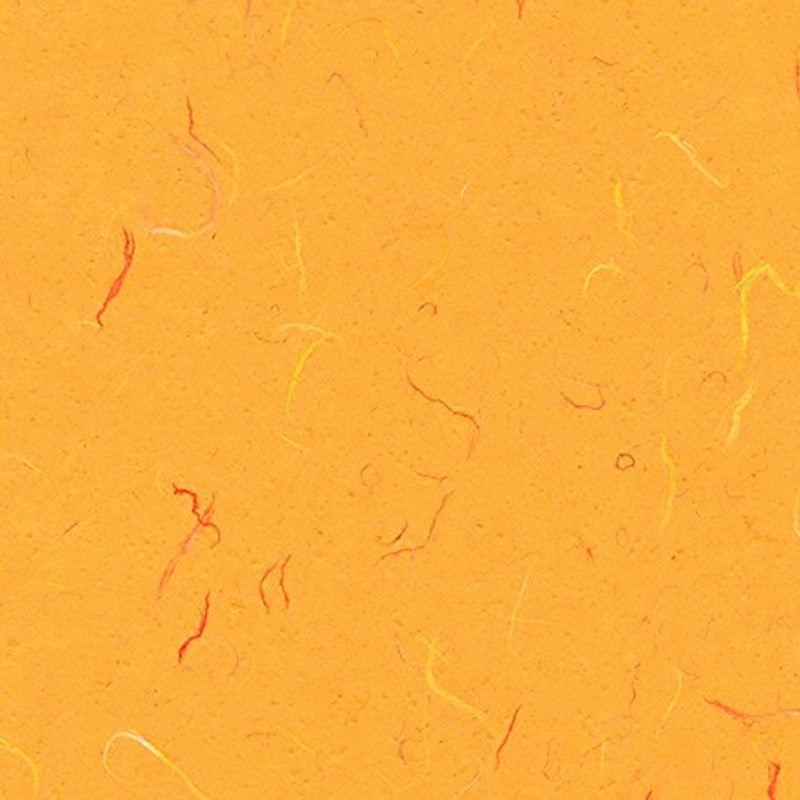 今季ブランド シンコール 壁紙11m 和紙 オレンジ Sw 2117 壁紙 Raffles Mn