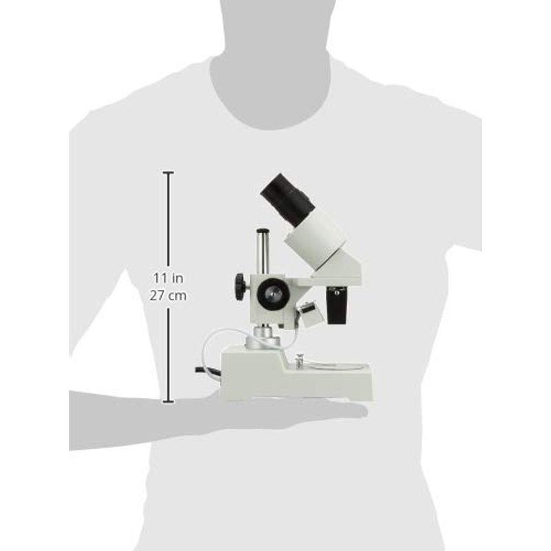 恵みの時 【直送品】 カートン光学 (Carton) 変倍式実体顕微鏡 NSW