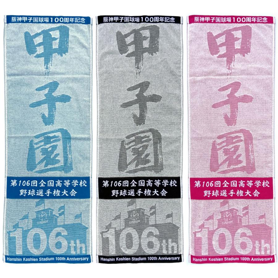 阪神甲子園球場100周年記念 第106回 全国高校野球選手権大会 阪神甲子園球場100周年記念 第106回 全国高校野球選手権大会