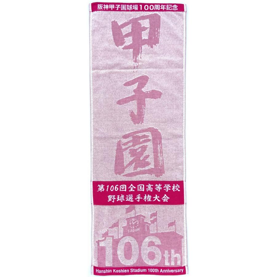 阪神甲子園球場100周年記念 第106回 全国高校野球選手権大会 阪神甲子園球場100周年記念 第106回 全国高校野球選手権大会