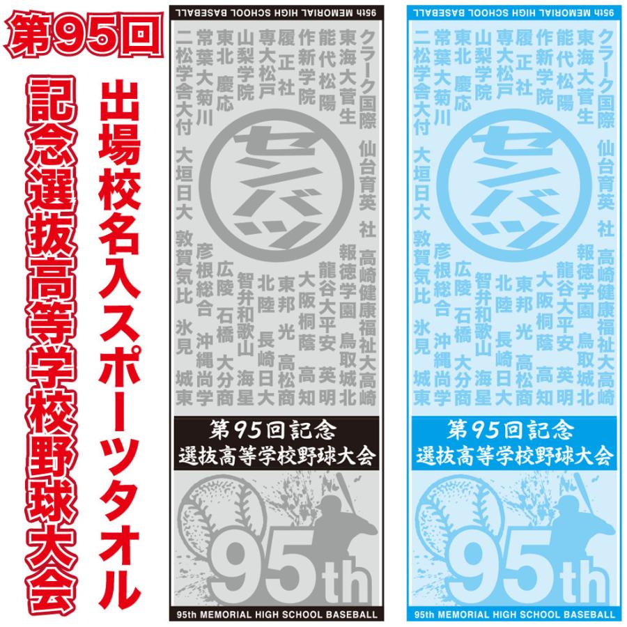 最先端 新品 第95回記念選抜高校野球大会 2023 タオル rahathomedesign.com