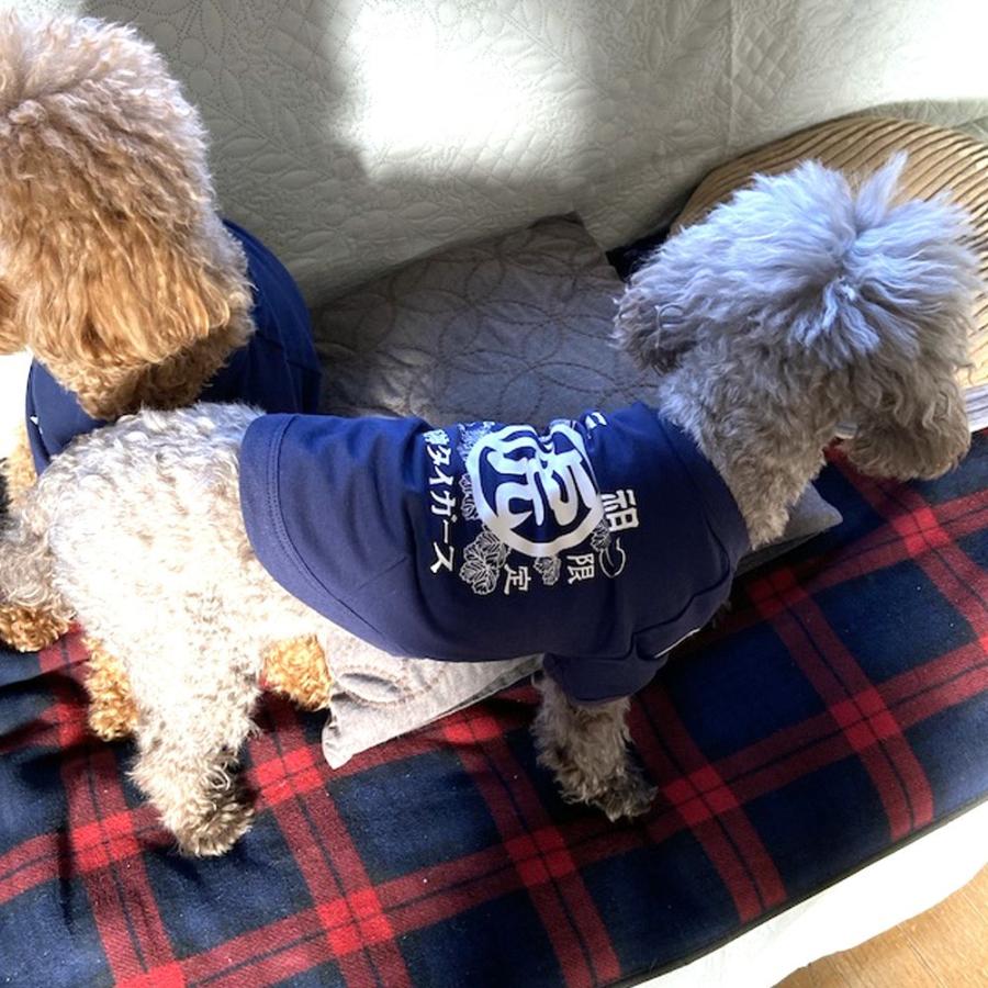 阪神タイガースグッズ ☆元祖虎 ペット・Tシャツ☆ お揃でお散歩
