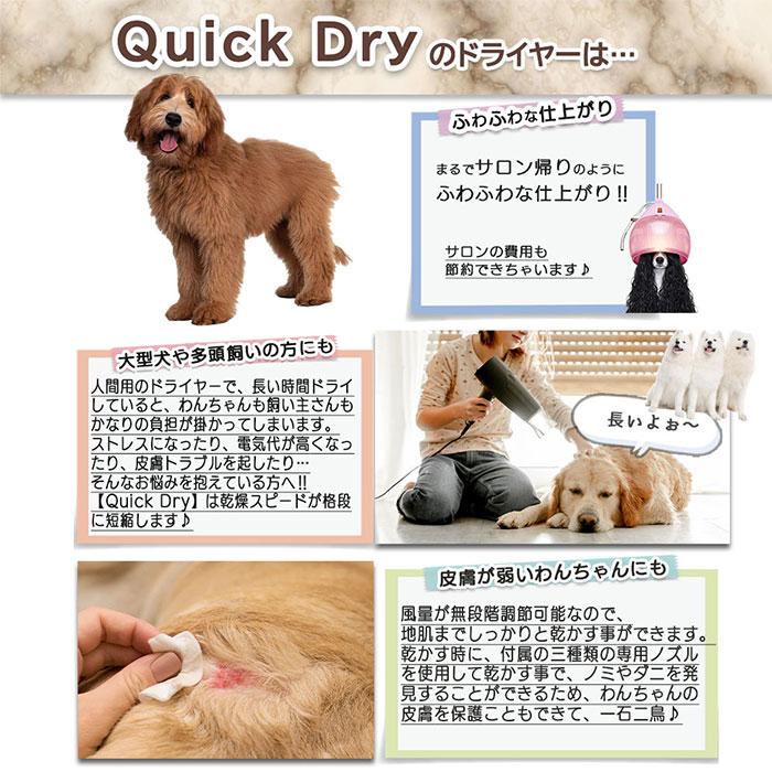 9/1限定クーポン発行 DOG One QUICK DRY クイックドライ ペットドライヤー ブロワー ドッグワン 100000012