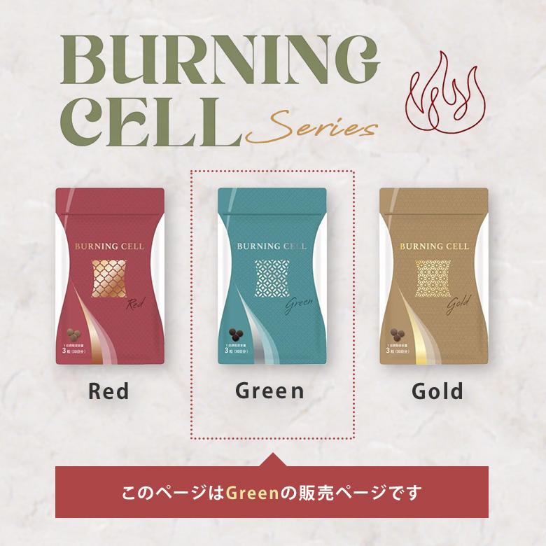 新品未開封⭐︎バーニングセル Burning Cell 100g バーニング