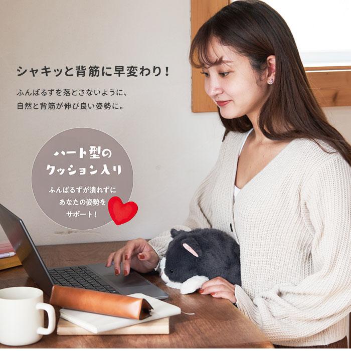 Dreams ふんばるずウォーマー おなかを温める ハチワレ ヒツジ Dreams ふんばるずウォーマー おなかを温める ハチワレ ヒツジ