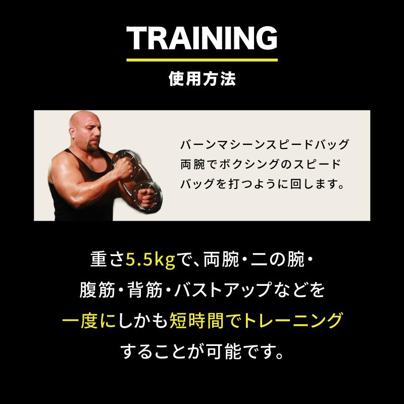 クリッパー バーンマシン スピードバッグ 5.5Kg トレーニング クリッパー バーンマシン スピードバッグ 5.5Kg トレーニング