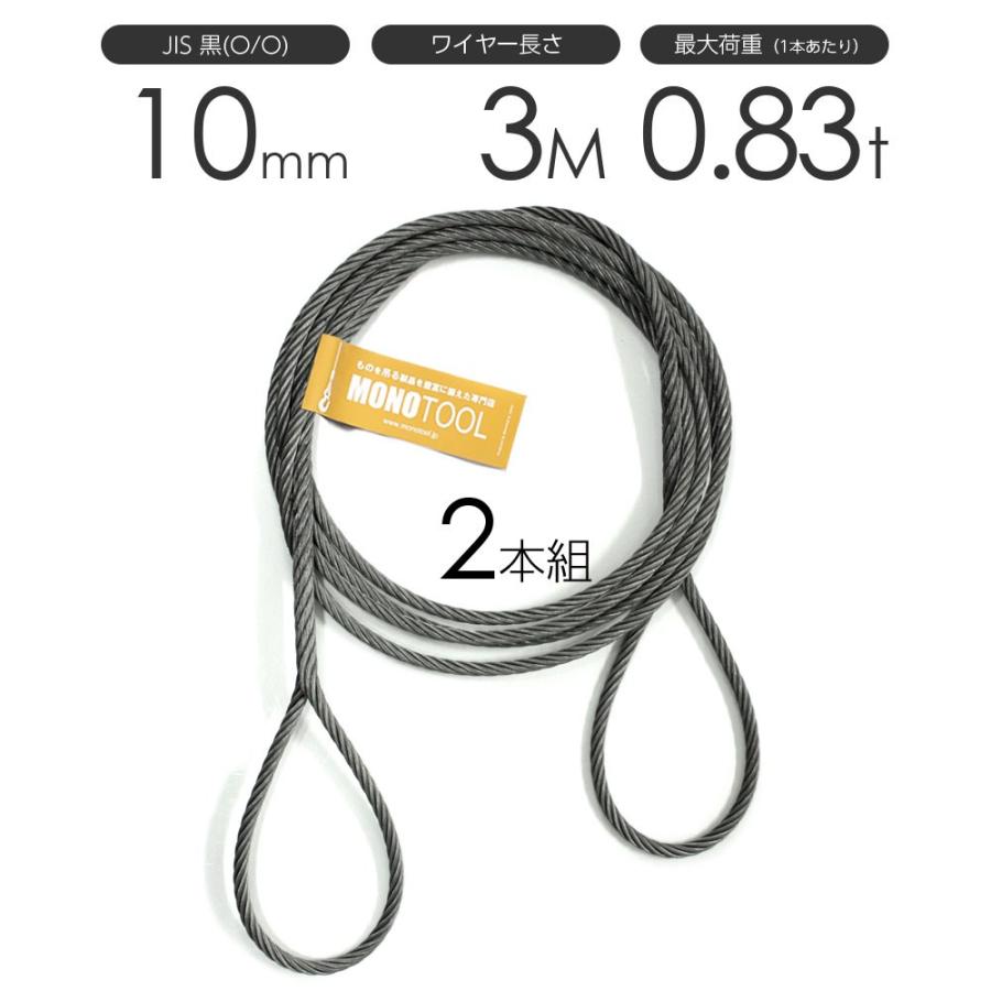 10mm×2m ワイヤー 両フック付 5本セット