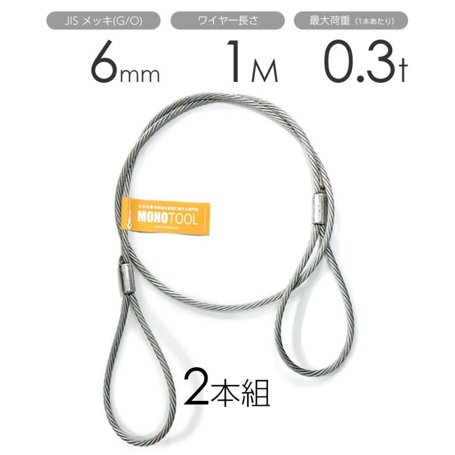 玉掛けワイヤー 2本組 両アイロック加工 メッキ 6mmx1m : モノツール