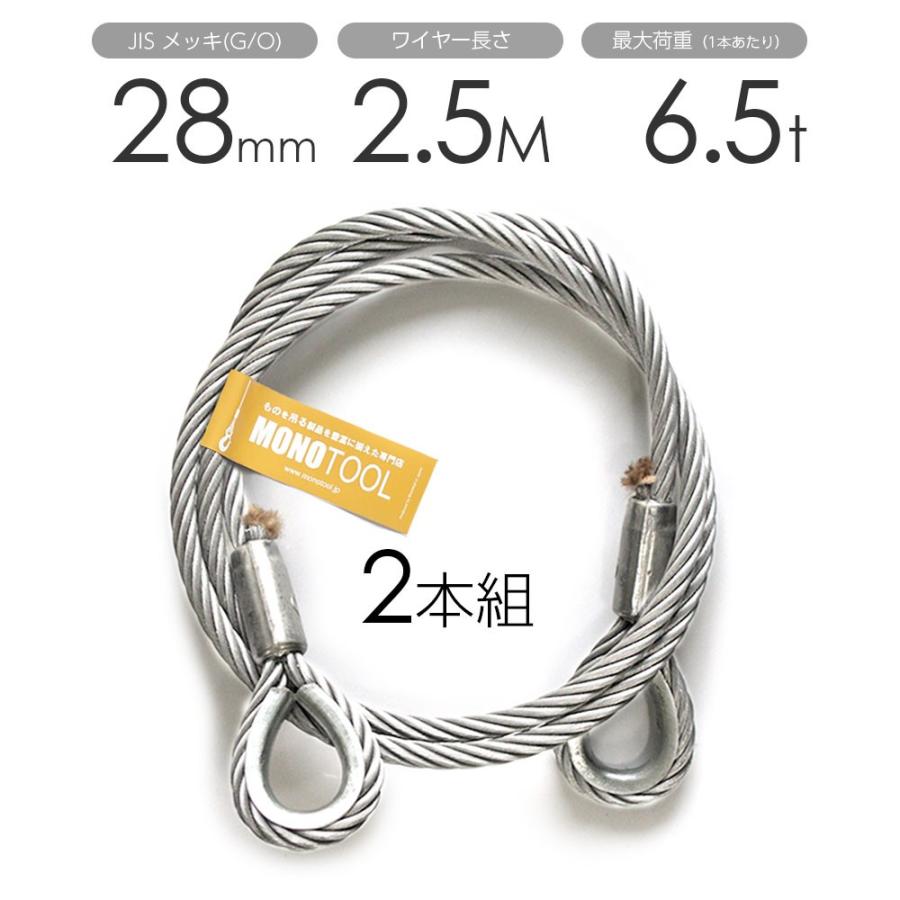【あす楽対応】 玉掛けワイヤー 2本組 両シンブル メッキ 28mmx2.5m スリング、吊具