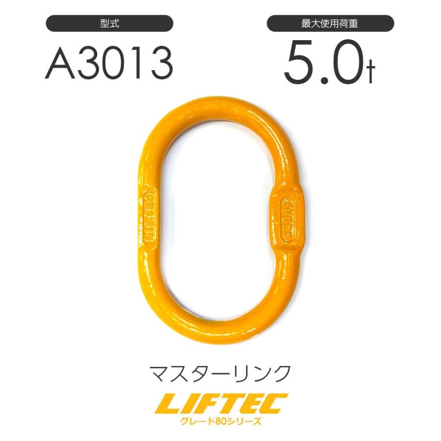 リフテック マスターリンク A3013 使用荷重5.0t : モノツール リフテック マスターリンク A3013 使用荷重5.0t : モノツール