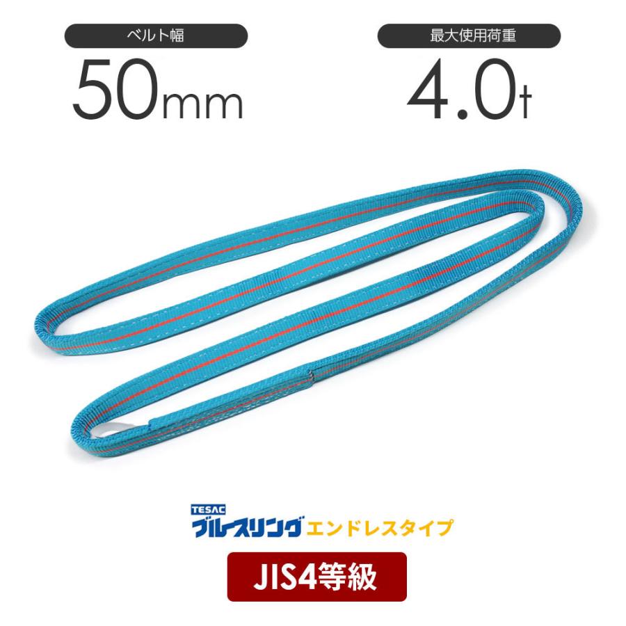 テザック(Tesac) ブルースリング JIS4等級・両端アイ形 幅50mm