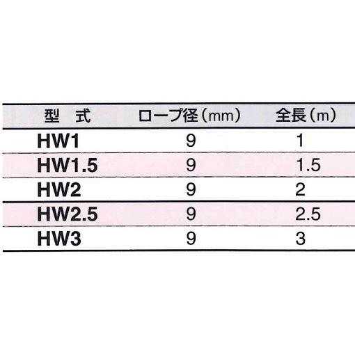3H スリーエッチ 荷締機用 フック付ワイヤー (片フック、片 3H スリーエッチ 荷締機用 フック付ワイヤー (片フック、片