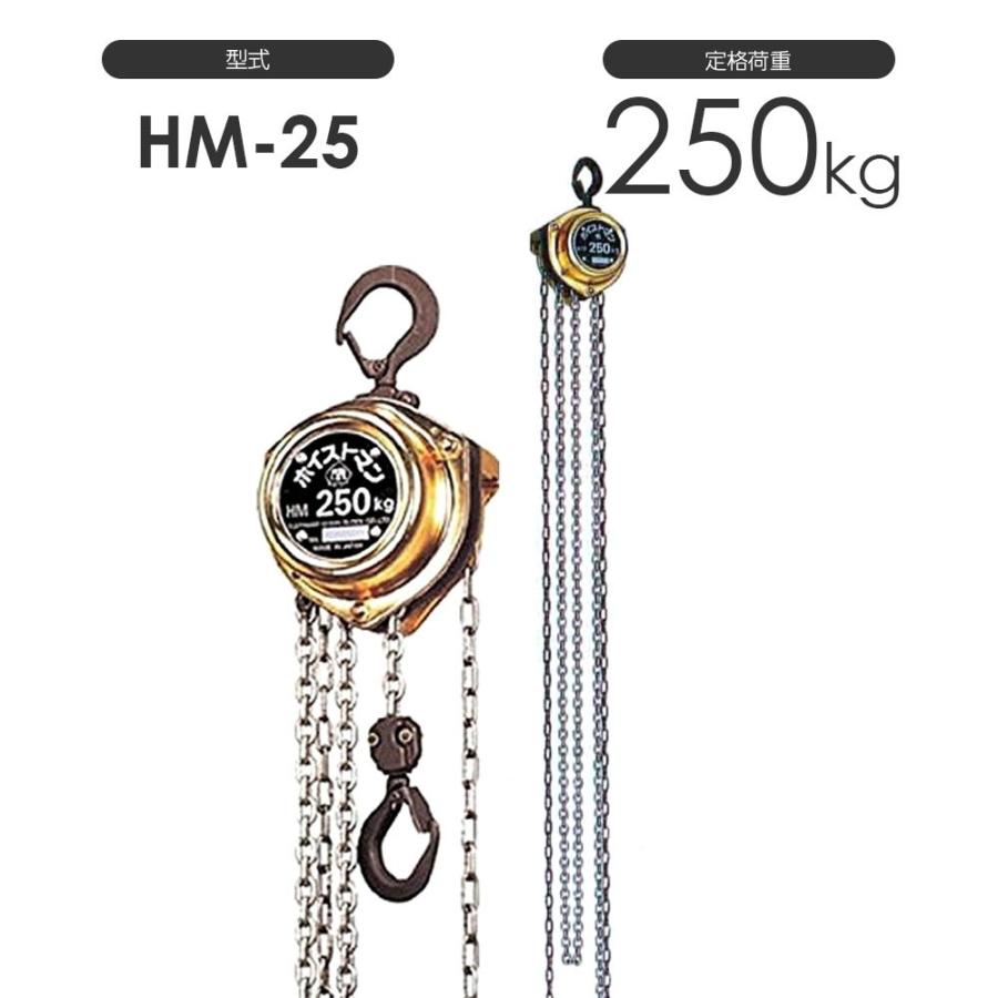 揚程長さのカスタムOK!! 象印 ホイストマン HM-25 定格荷重250kg 揚程長さのカスタムOK!! 象印 ホイストマン HM-25 定格荷重250kg