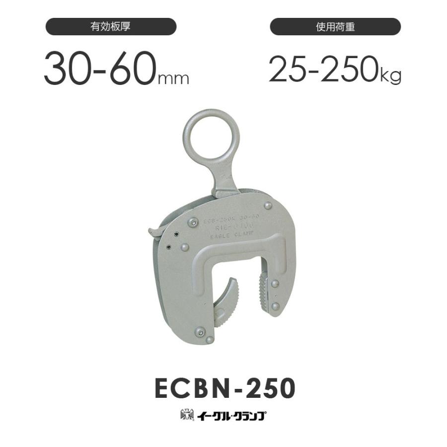 イーグルクランプ U字溝用クランプ ECBN-250 ※旧ECB-250 30-60 : モノ 