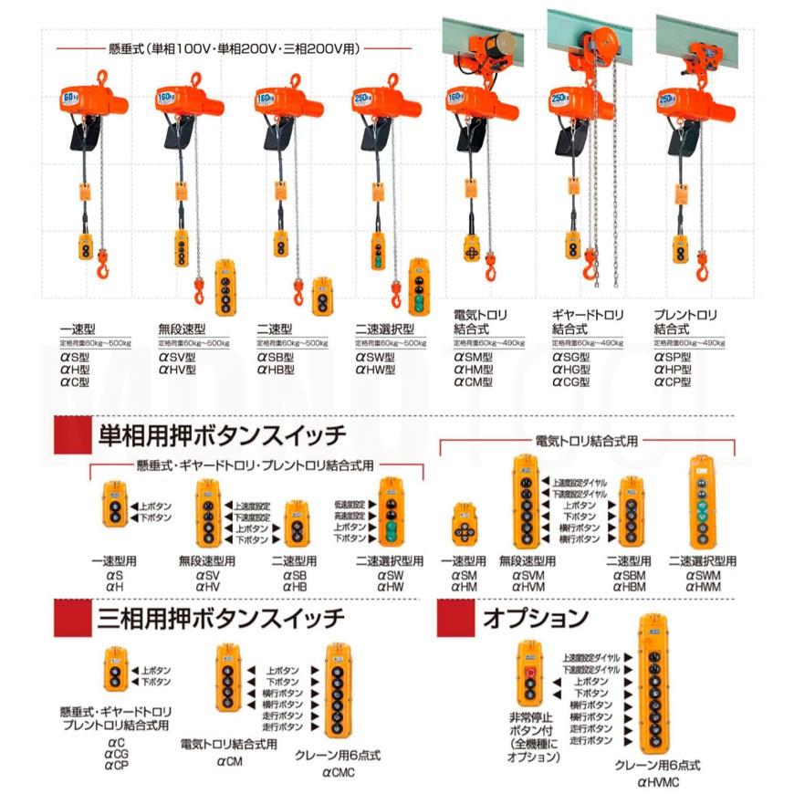 揚程・コードの長さ変更OK 象印 アルファ 電気チェーンブロック αS-049 490kg 一速型 単相100V用 AS-K4930 標準揚程3.0m  α