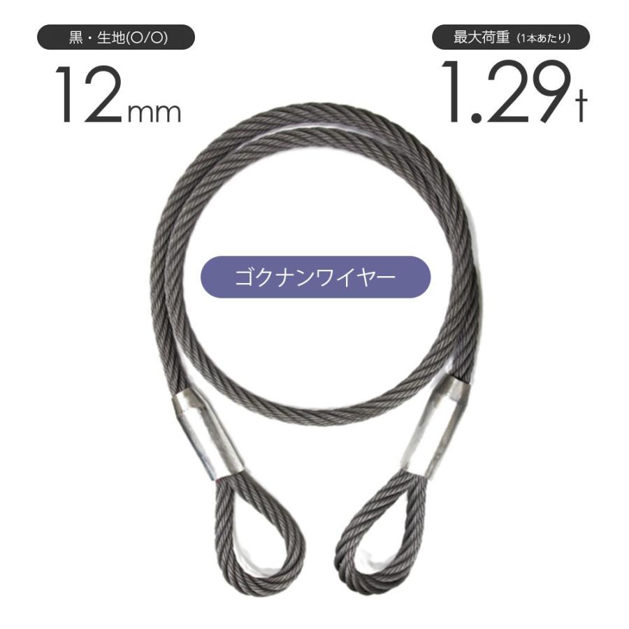12㎜　ワイヤーロープ ゴクナンワイヤー 12mm 黒(O/O) 両アイロック加工 加工販売