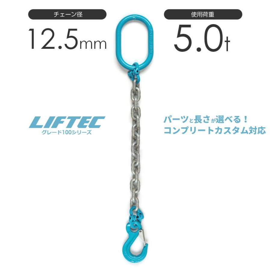 1本吊りチェーンスリング 特注WEBカスタム 使用荷重:5t φ13mm 1本吊りチェーンスリング 特注WEBカスタム 使用荷重:5t φ13mm