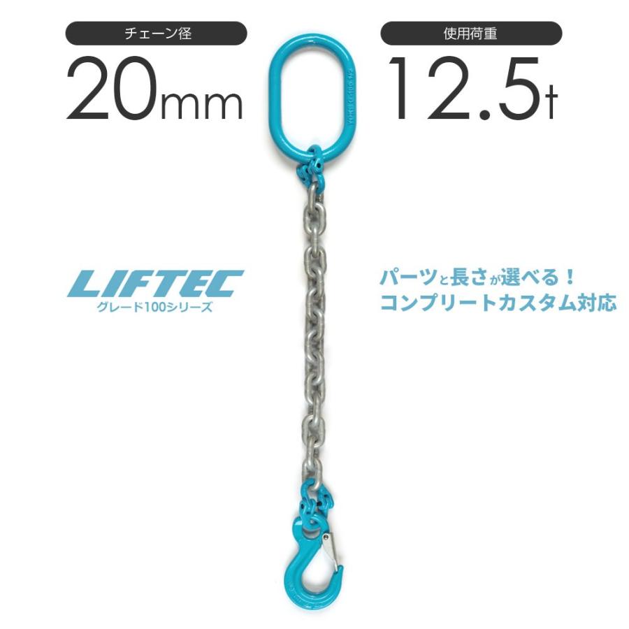 1本吊りチェーンスリング 特注WEBカスタム 使用荷重:12.5t φ20mm 1本吊りチェーンスリング 特注WEBカスタム 使用荷重:12.5t φ20mm