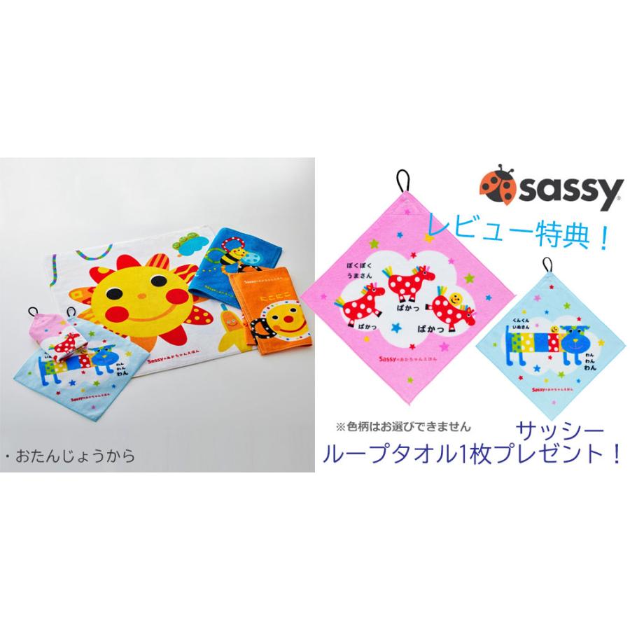 Combi（コンビ） フロントガードプレゼント オートN セカンドBQ