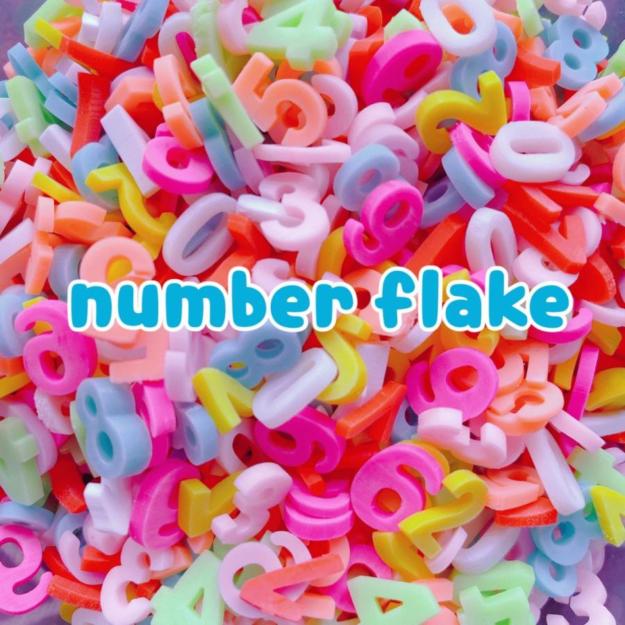 約10g ナンバーフレーク フレークパーツ シャカシャカ ふりかけ 樹脂  