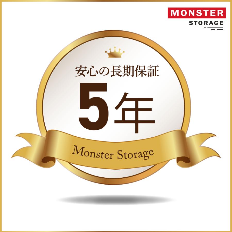 Monster Storage SSD 1TB NVMe SSD PCIe Gen 3×4 読み取り: 3,520MB/s 書き込み：2,900MB/s 内蔵SSD M.2 Type 2280 3D NAND 国内保証 MS950G30PCIe3-01TBの画像