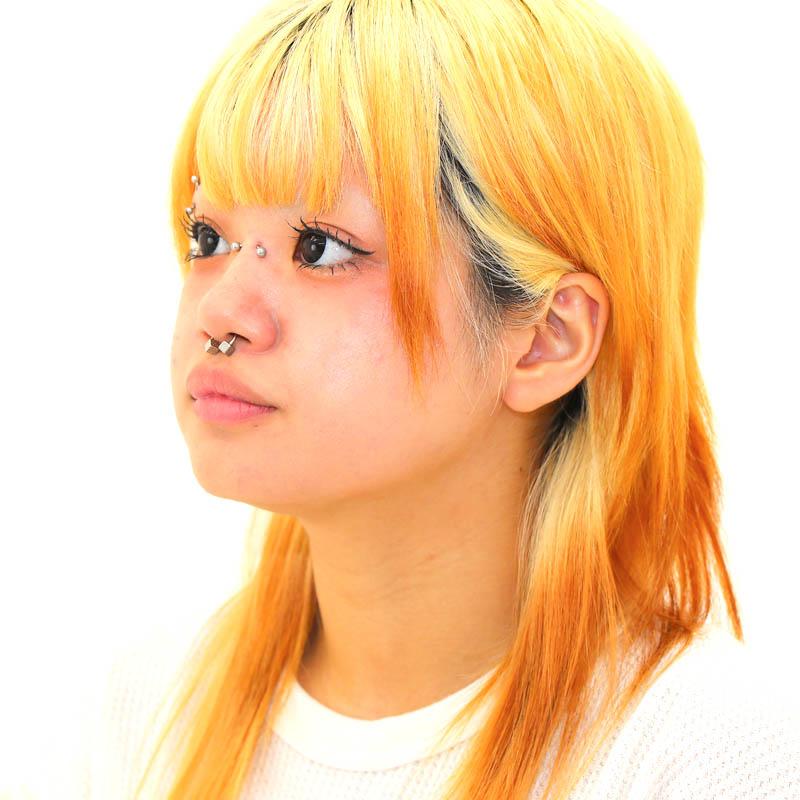 ひーちゃんページ　オーダーピアス ボディピアス 16G 14G サージカルステンレス ダイス