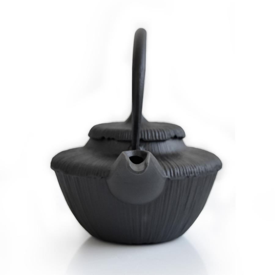 南部鉄器 南部小鉄瓶 酒器 燗瓶ぐい呑み かんびん 240ml 急須 内面