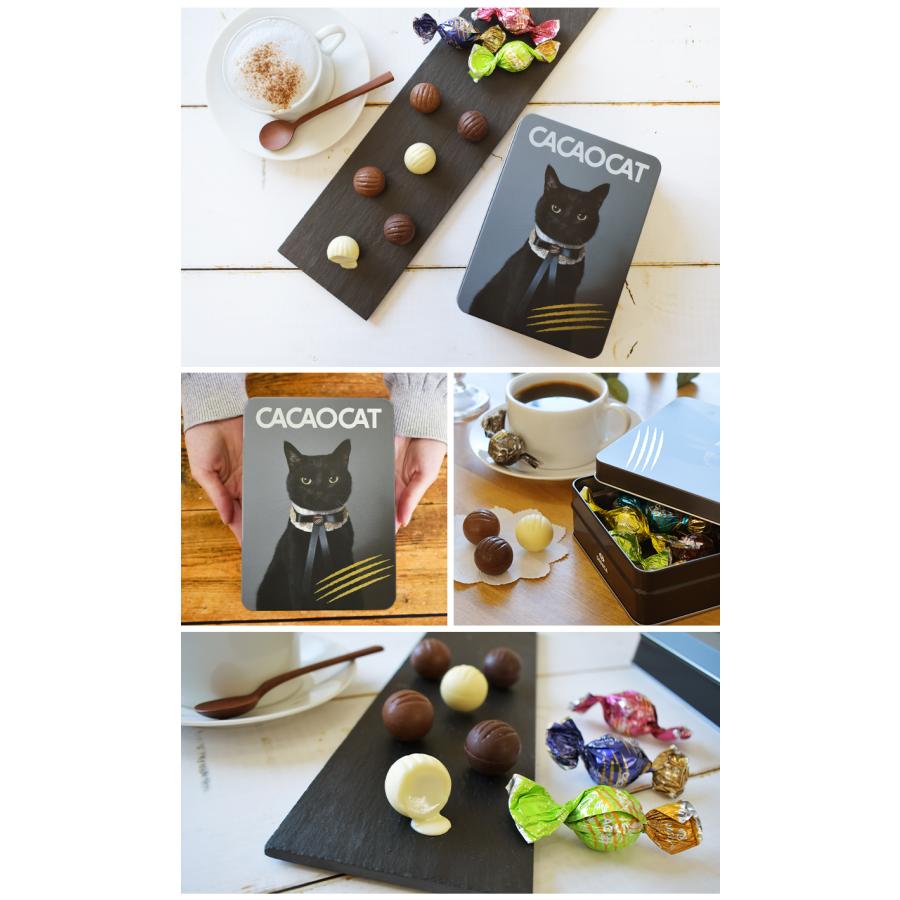 紙袋リボン付 CACAOCAT 黒猫缶 国内製造 14pcs アソート プレミアム