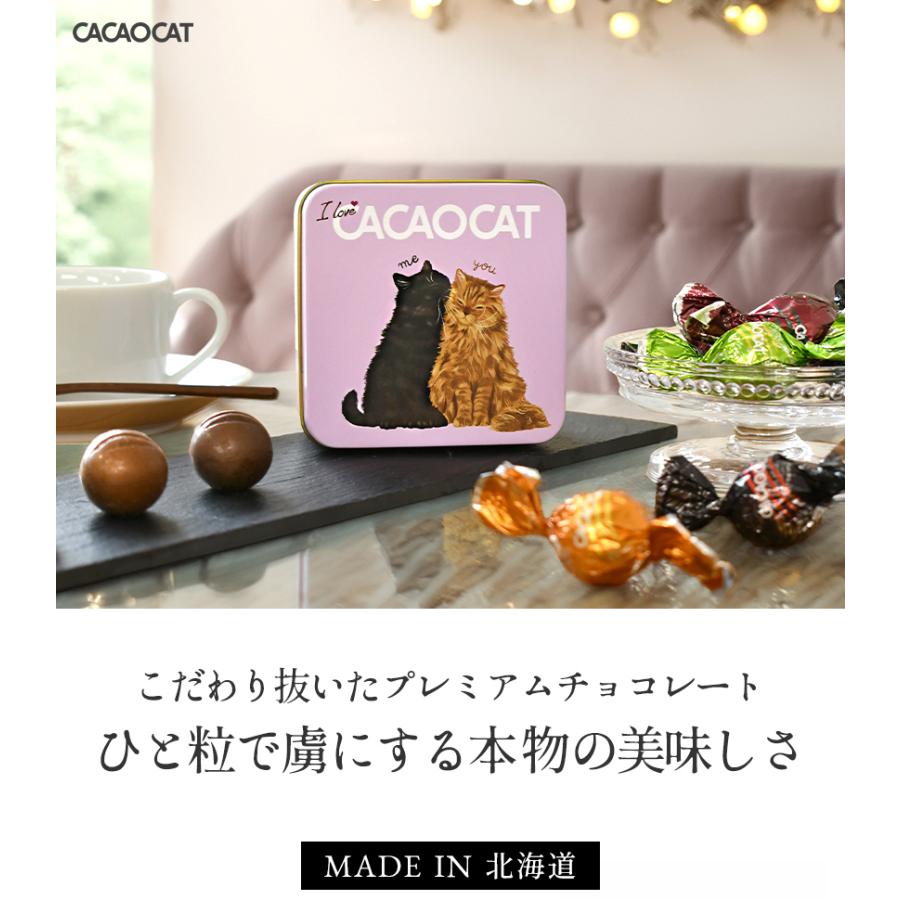 国内製造 CACAOCAT チョコレート You&Me 6pcs アソート プレミアム