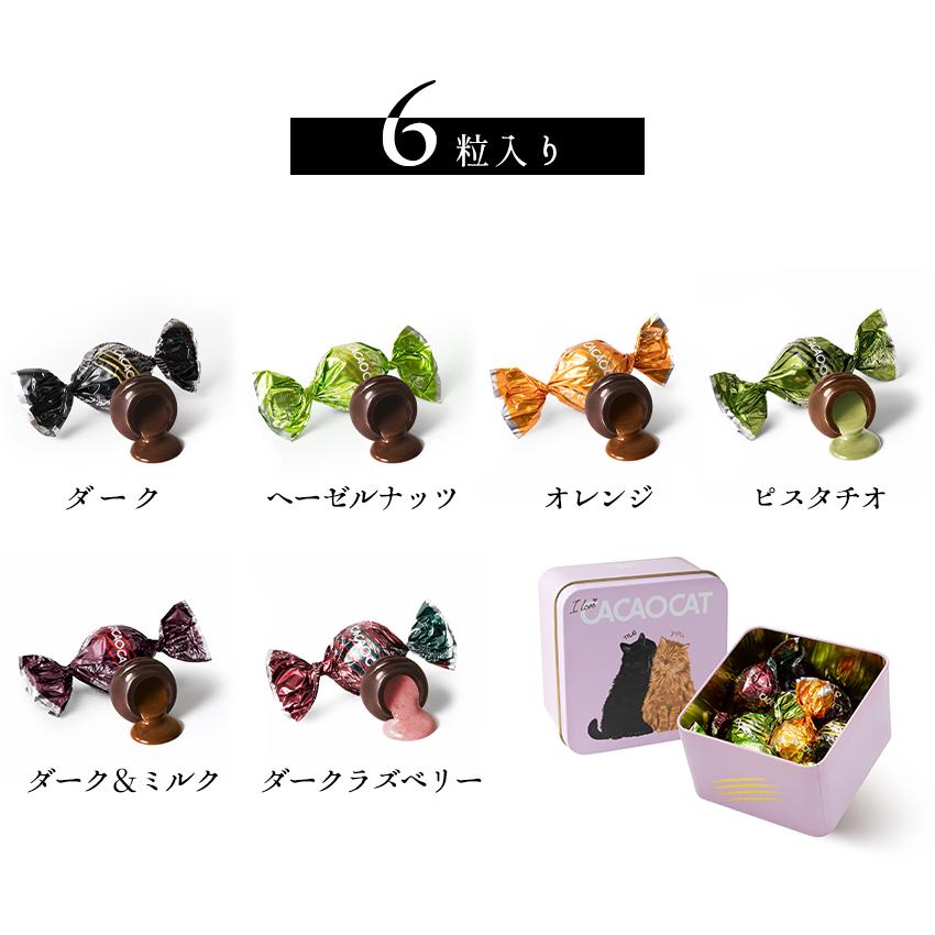 国内製造 CACAOCAT チョコレート You&Me 6pcs アソート プレミアム
