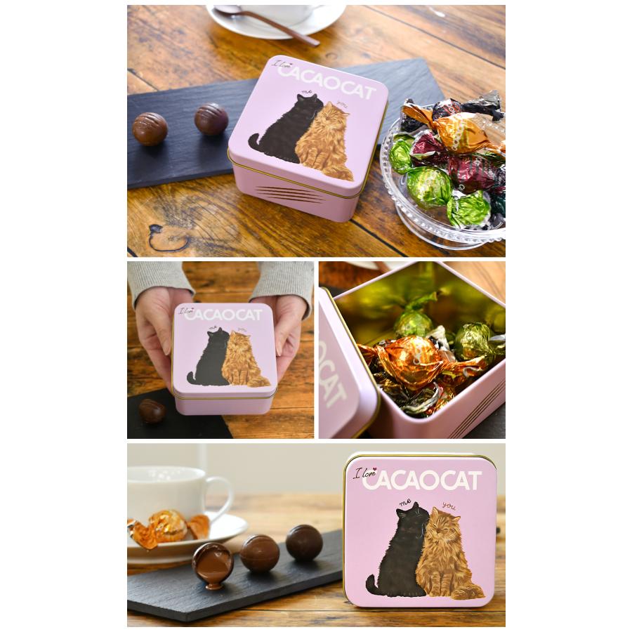 国内製造 CACAOCAT チョコレート You&Me 6pcs アソート プレミアム
