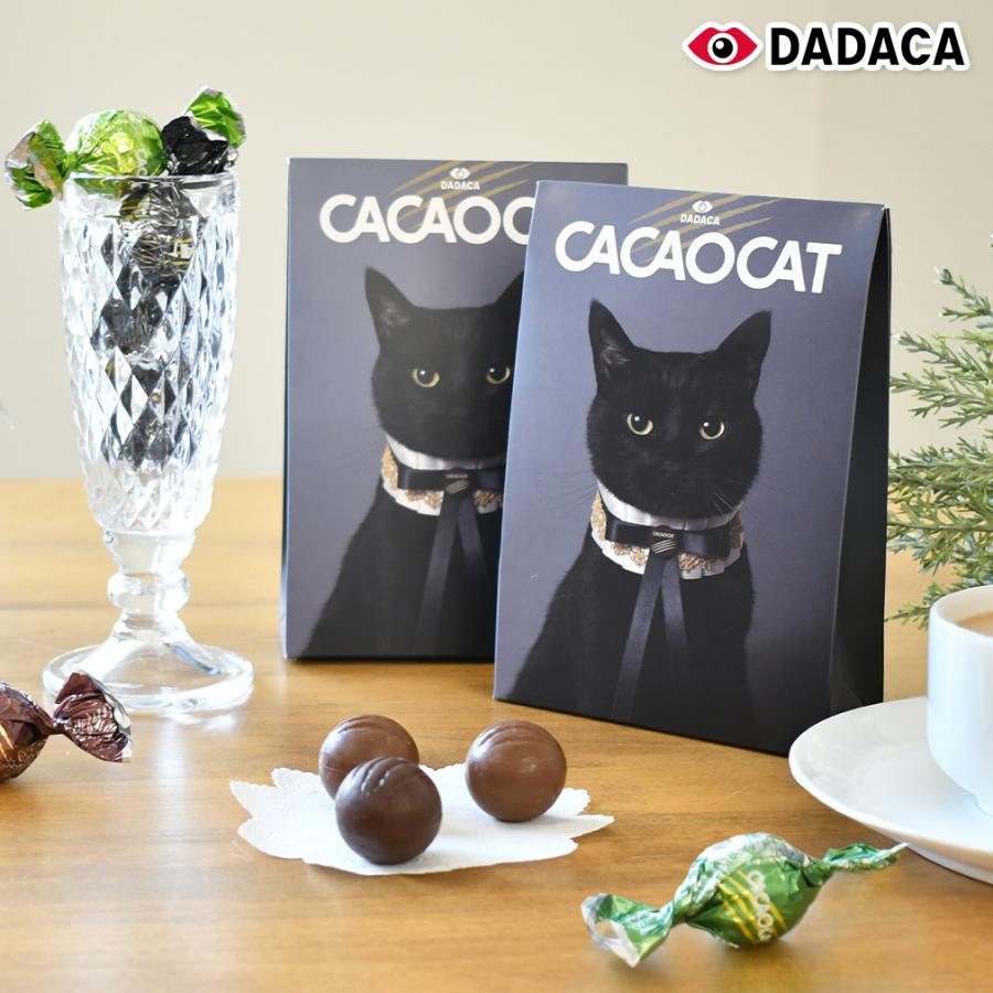 CACAOCAT チョコ 2箱セット 三角ボックス 国内製造 6粒×2 アソート