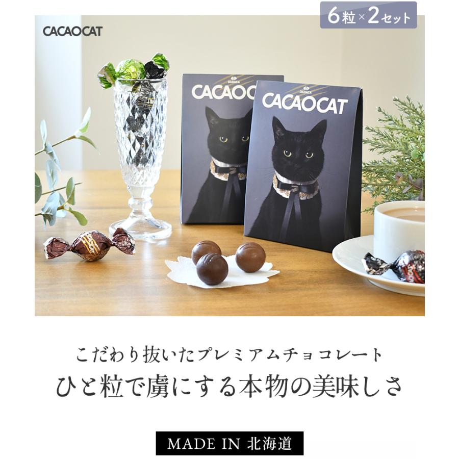 CACAOCAT チョコ 2箱セット 三角ボックス 国内製造 6粒×2 アソート
