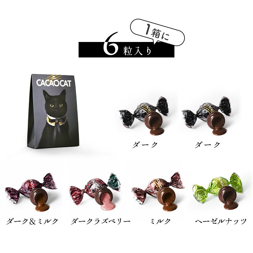 CACAOCAT チョコ 2箱セット 三角ボックス 国内製造 6粒×2 アソート