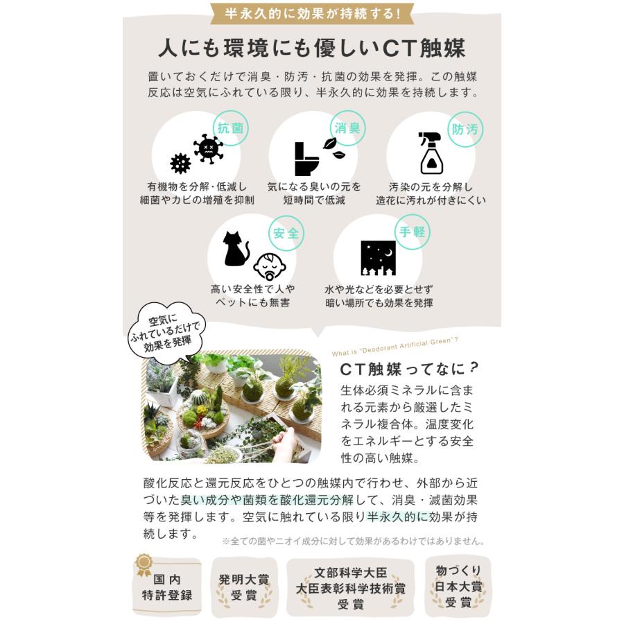 CT触媒 吊り下げボール Lサイズ ハンギング サキュレント おしゃれ かわいい プレゼント 多肉植物 サボテン フェイクグリーン プレゼント 消臭  抗菌 FG018-