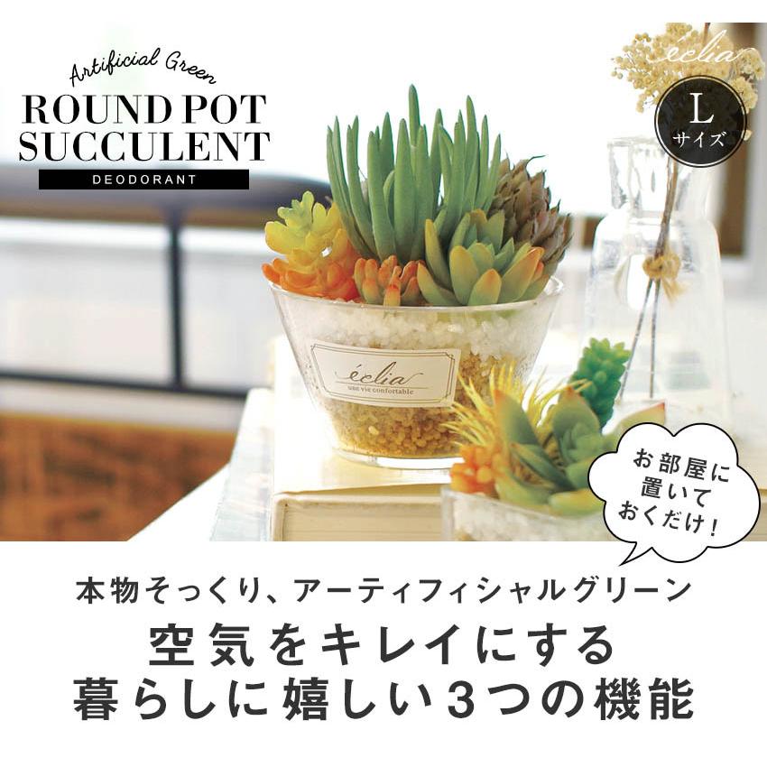 キシマ CT触媒 多肉植物 ガラス丸鉢 Lサイズ 寄せ植え おしゃれ キシマ CT触媒 多肉植物 ガラス丸鉢 Lサイズ 寄せ植え おしゃれ
