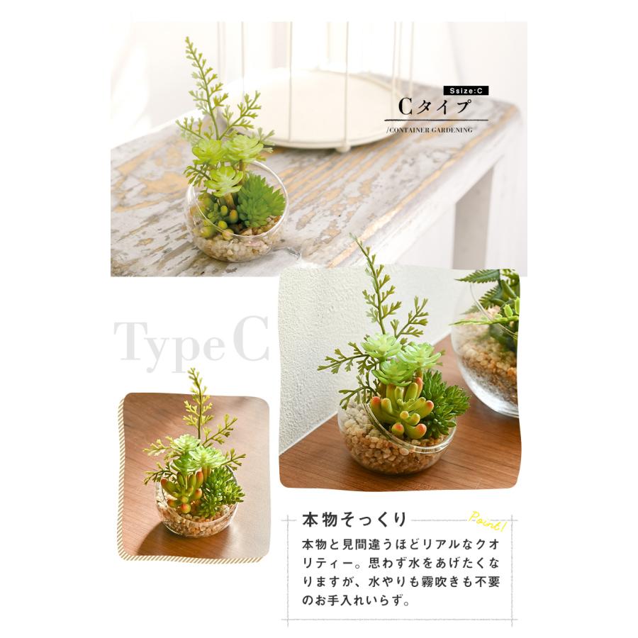 キシマ（KISHIMA） CT触媒 テラリウム ガラスポット 寄せ植え Sサイズ
